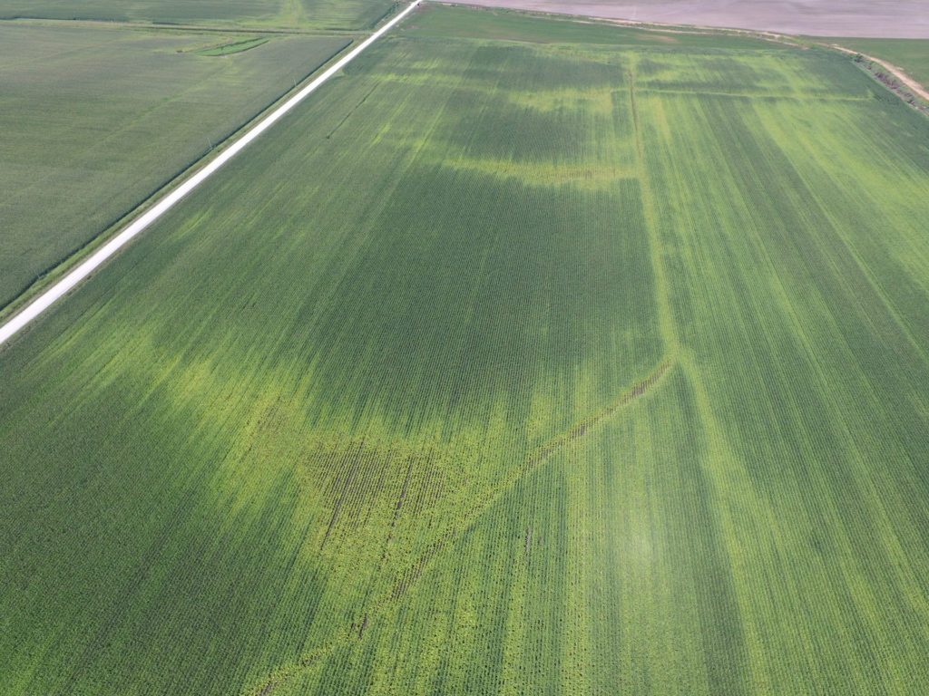 航空摄影用来开发产量损失预测地图和需要更多的氮肥，其中处方。
