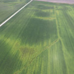 航空摄影用于制作产量损失预测图，并为需要更多氮肥的地区开出处方。