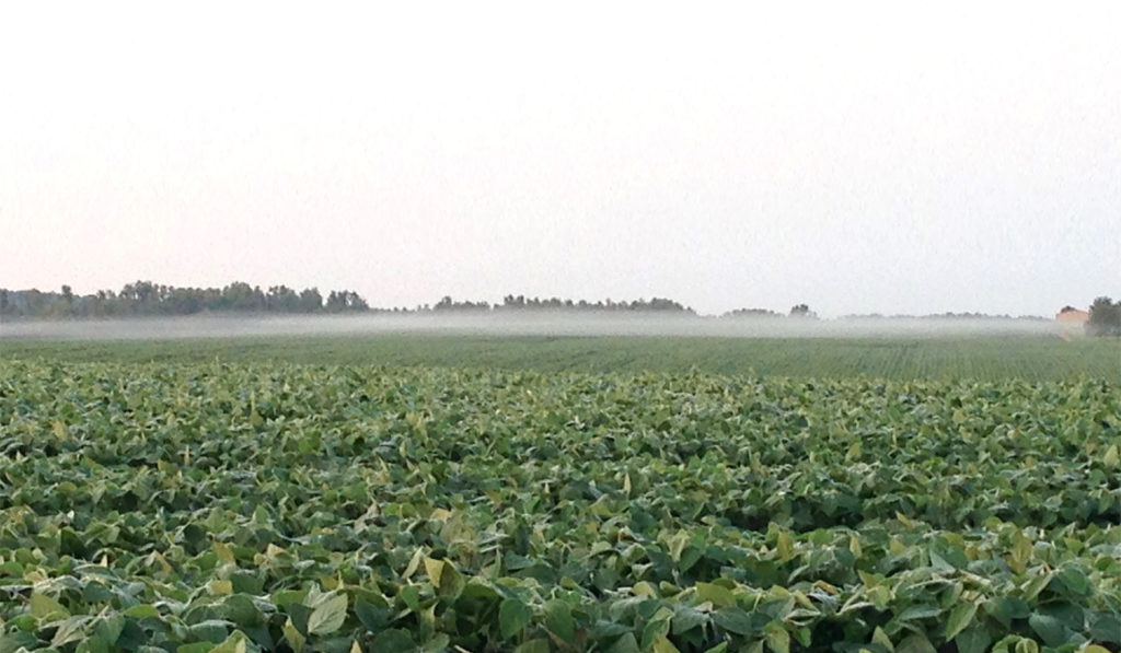 地面雾笼罩着农作物场是一个逆温层的一个标志。