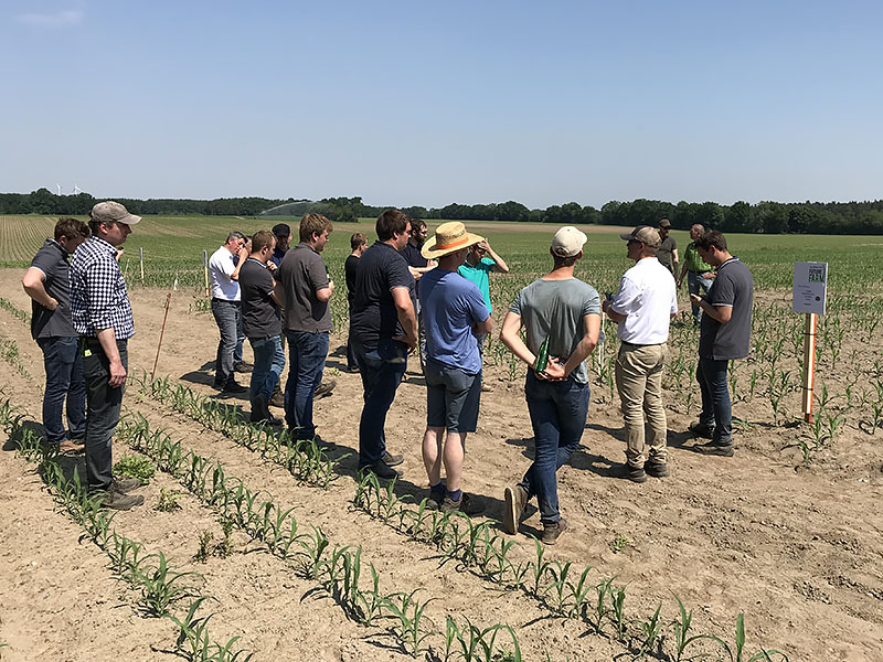 种植者在2019年第一个欧洲AGCO作物巡回赛，由AGRAVIS在Uelzen，德国举办查看玉米地块。